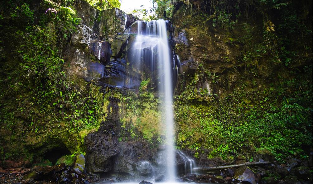 Yoga Retreats Panama 