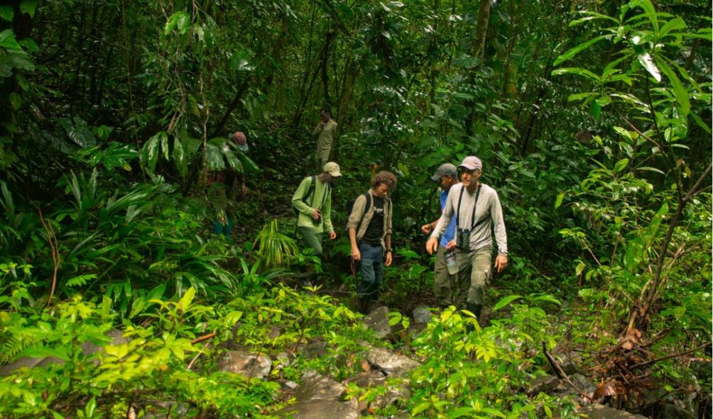 Nature therapy Panama 