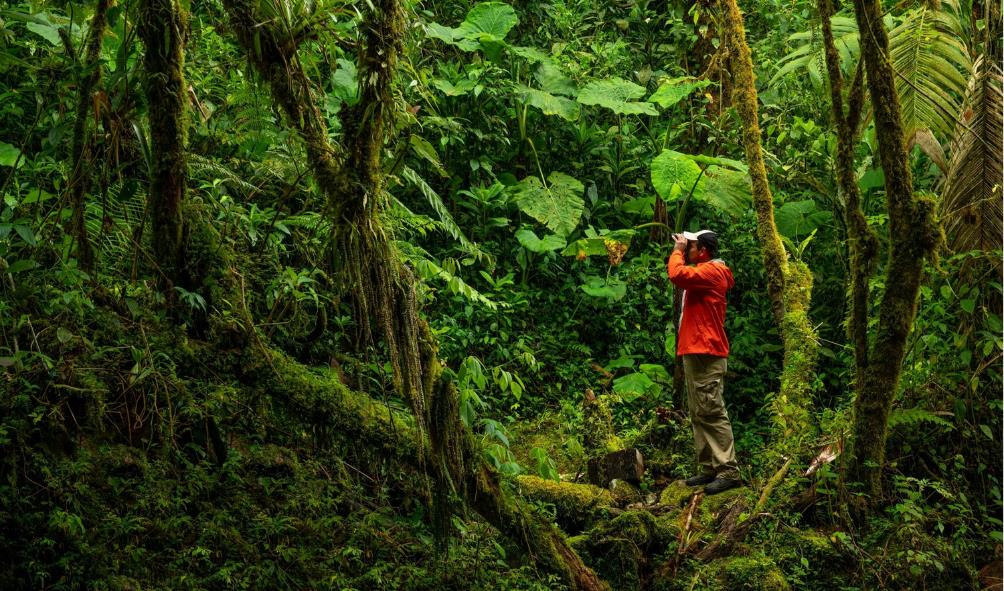 Ecosystem preservation Panama 