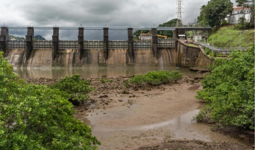 Nature''s role in wellness 