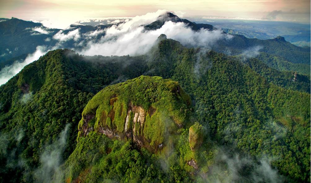 Nature walks for stress relief 