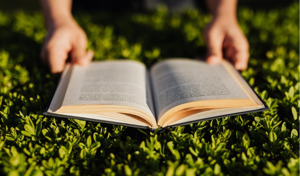 Panama fresh air benefits 