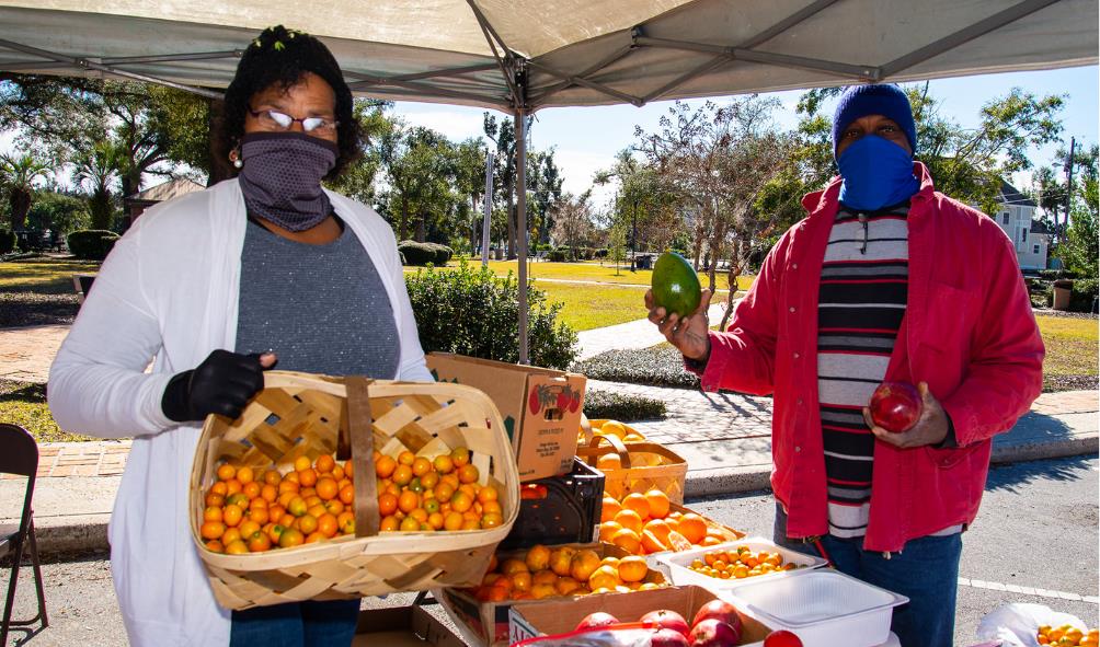 Food and Lifestyle Panama 