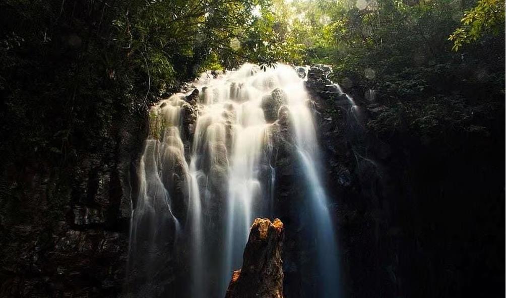 Wildlife conservation and health 