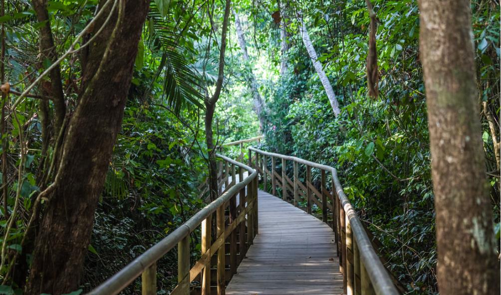 Outdoor meditation practices 