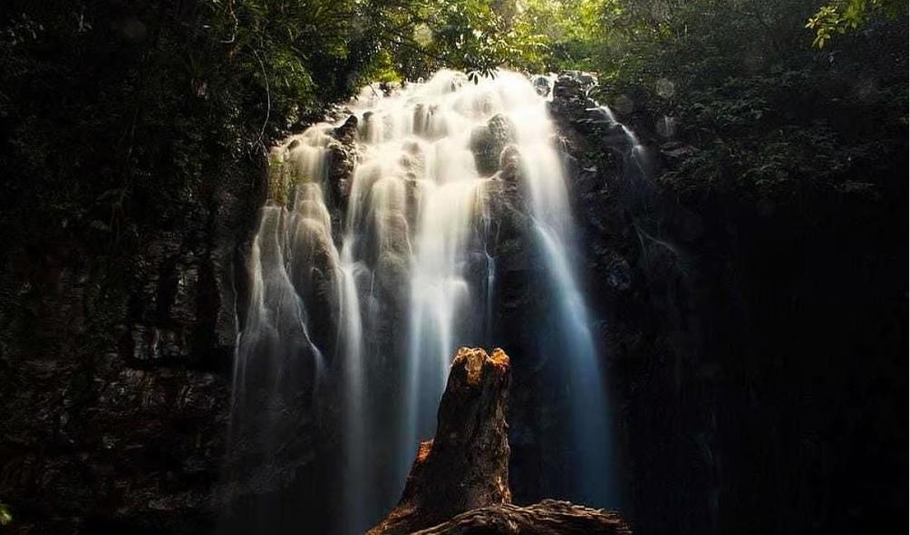 Panama wellness experiences 