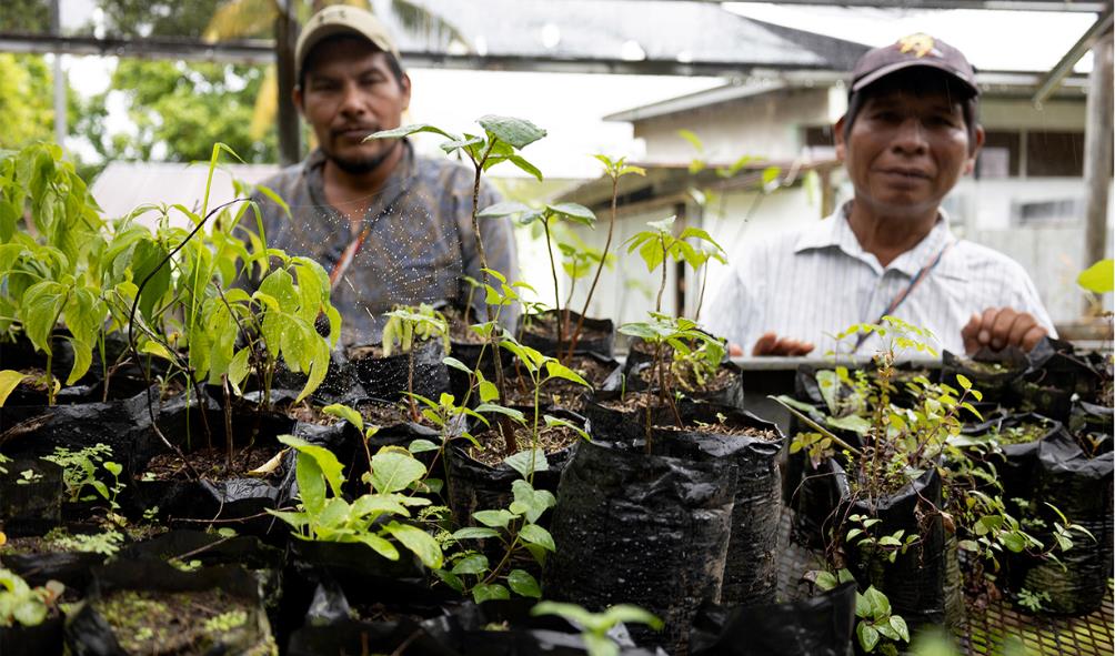 Wellness centers Panama 