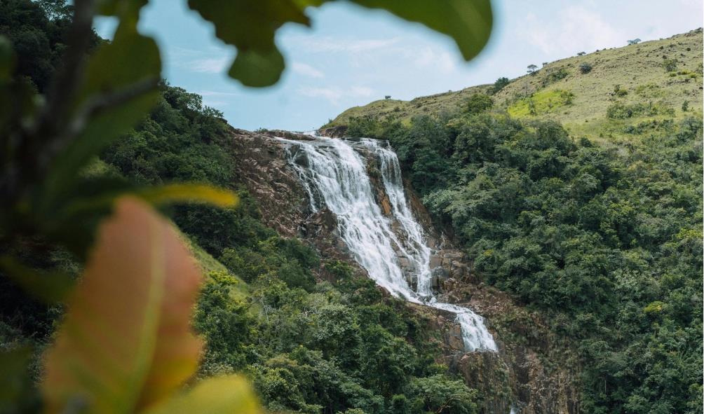 Mindfulness in Panama 