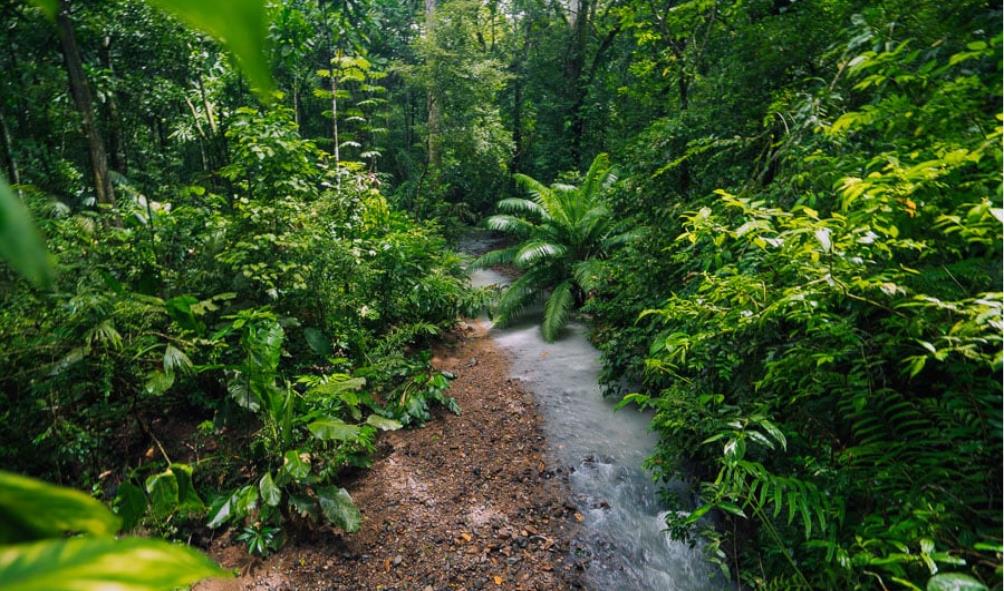 Unique Panama destinations 