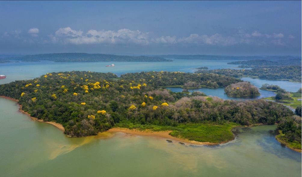 Tropical living in Panama 
