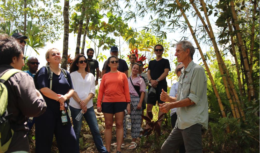 restore energy Panama 