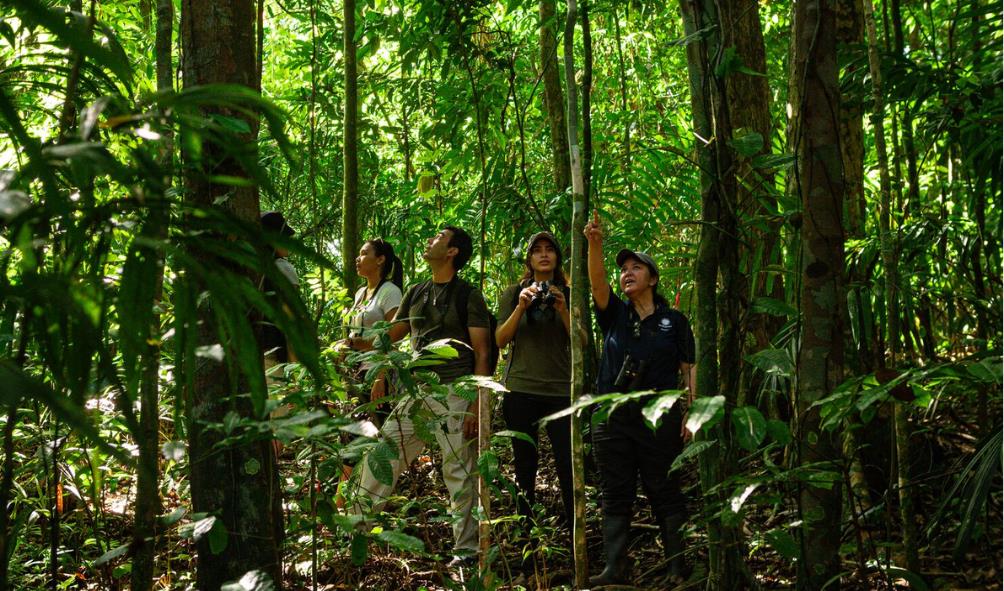 Panama''s restorative nature