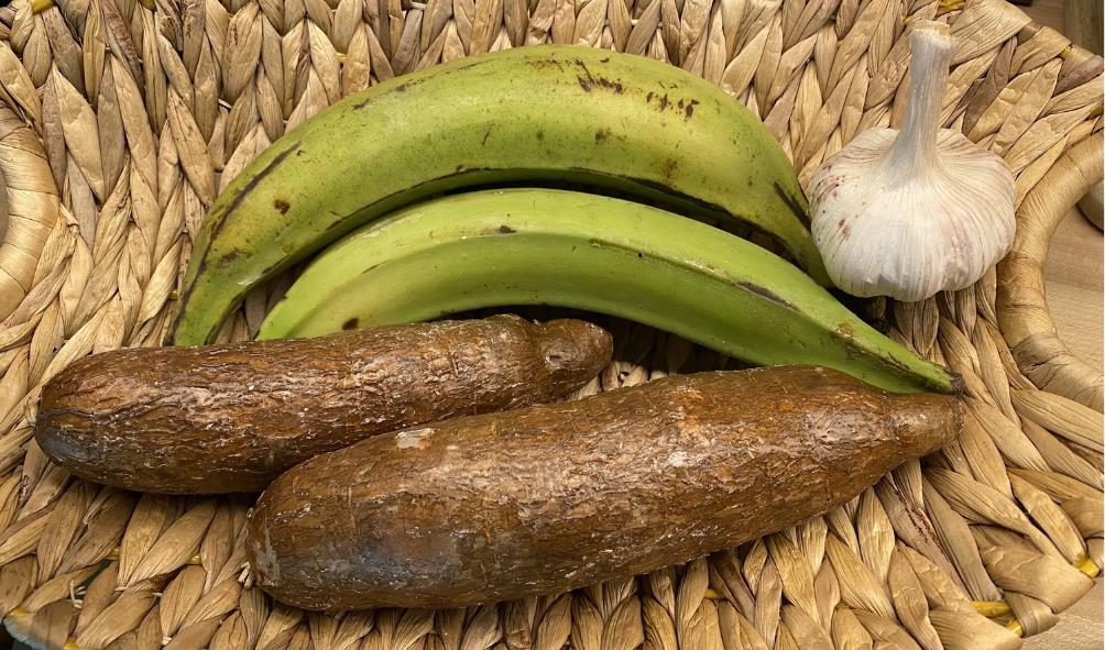 Panama culinary experience 