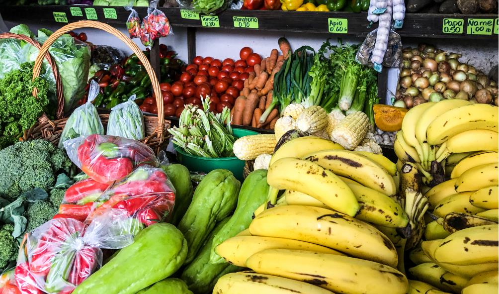 Panama farm to table 