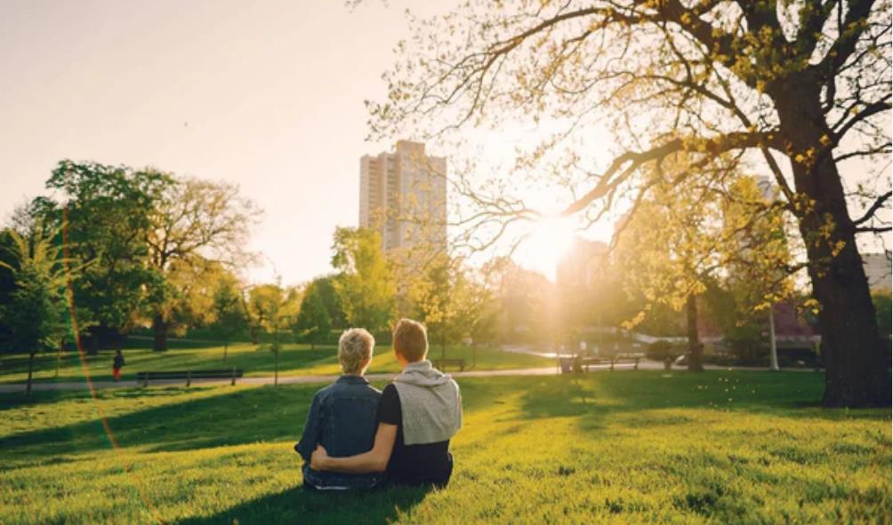 Panama rejuvenation spots 