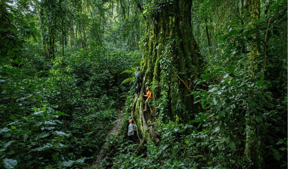 Panama wellness travel 