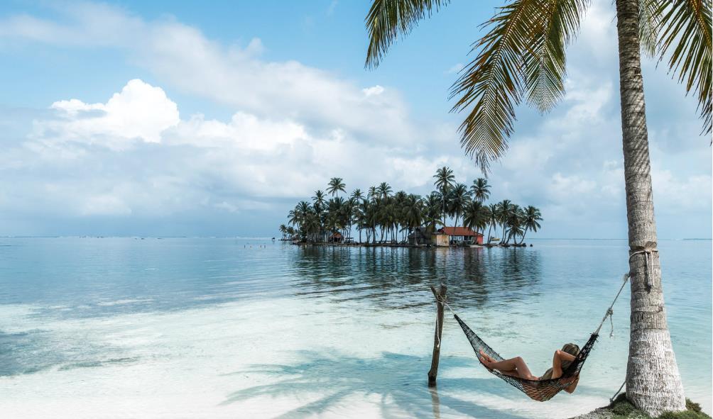 Panama wildlife encounters 