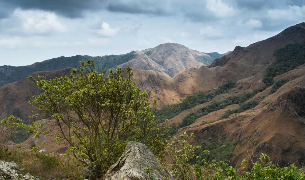 Panama natural ingredients 