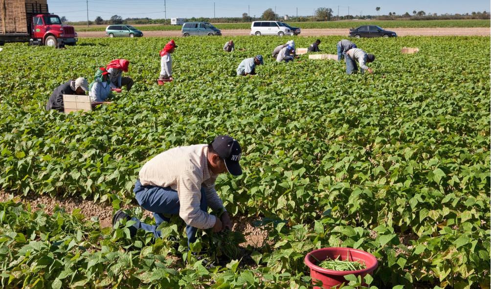 Panama sustainable eating 