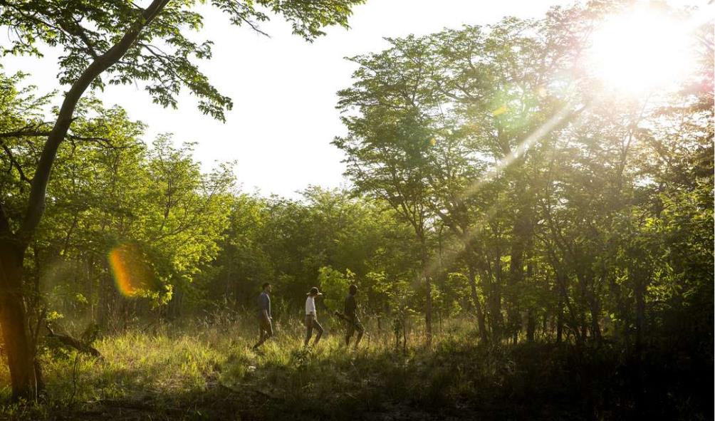 Panama mental well-being 