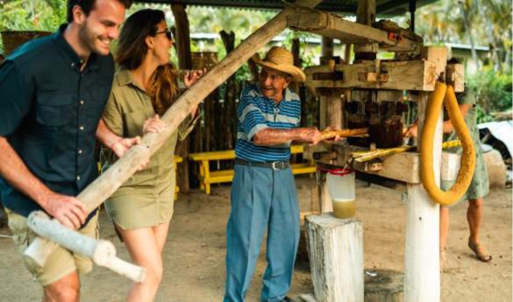 mindfulness in Panama 