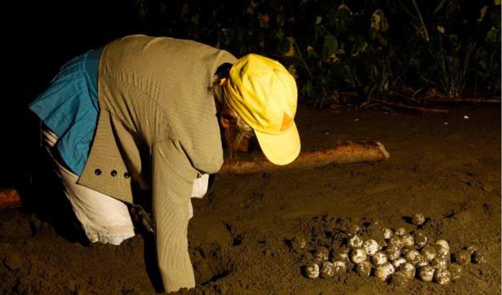 Panama nature retreats 