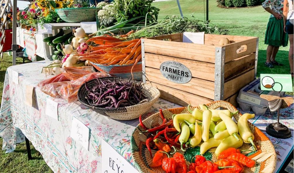 Panama culinary journey 