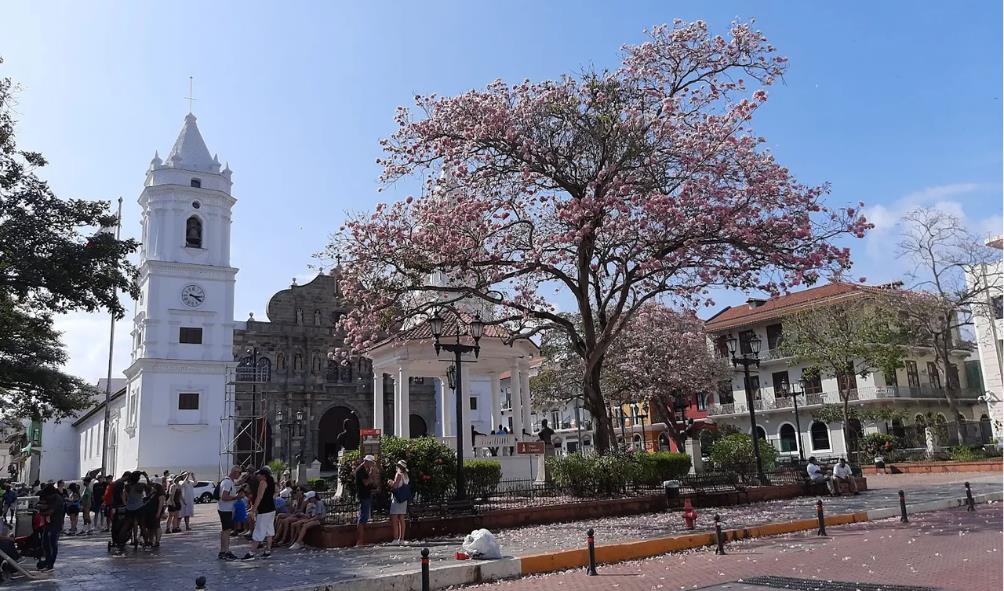 Panama''s authentic flavors 