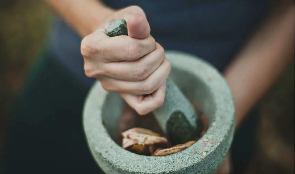 indigenous wellness practices 