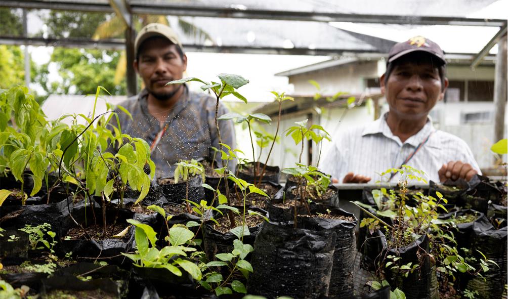 Panama healing practices 