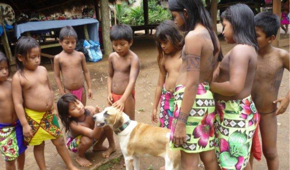 traditional health seekers 