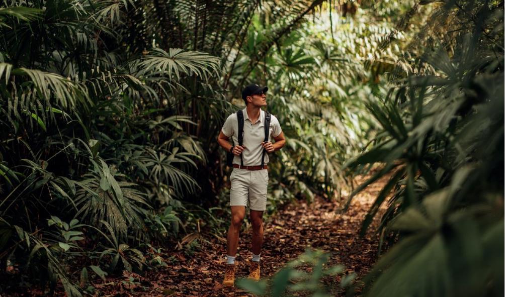 Forest path to inner peace 