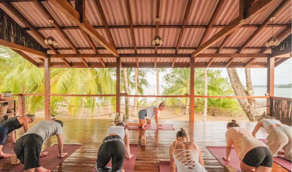 Forest wellness Panama 