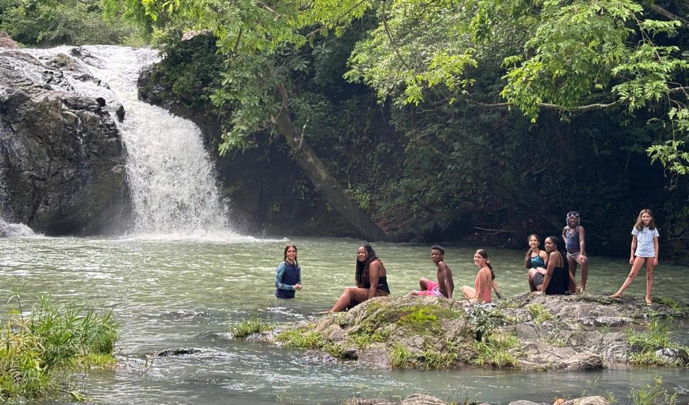 Forest balance experience