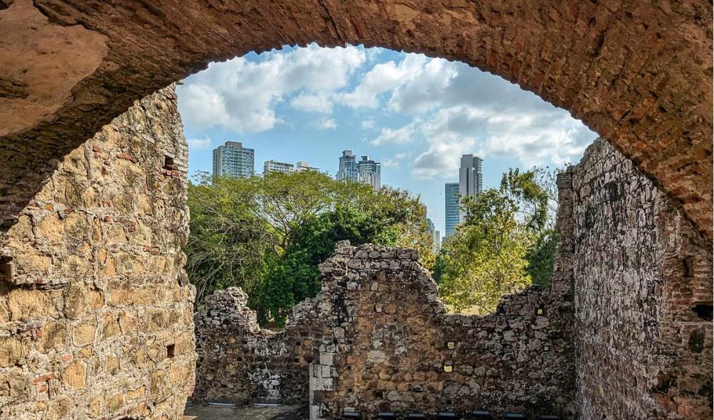 Forest healing experience 