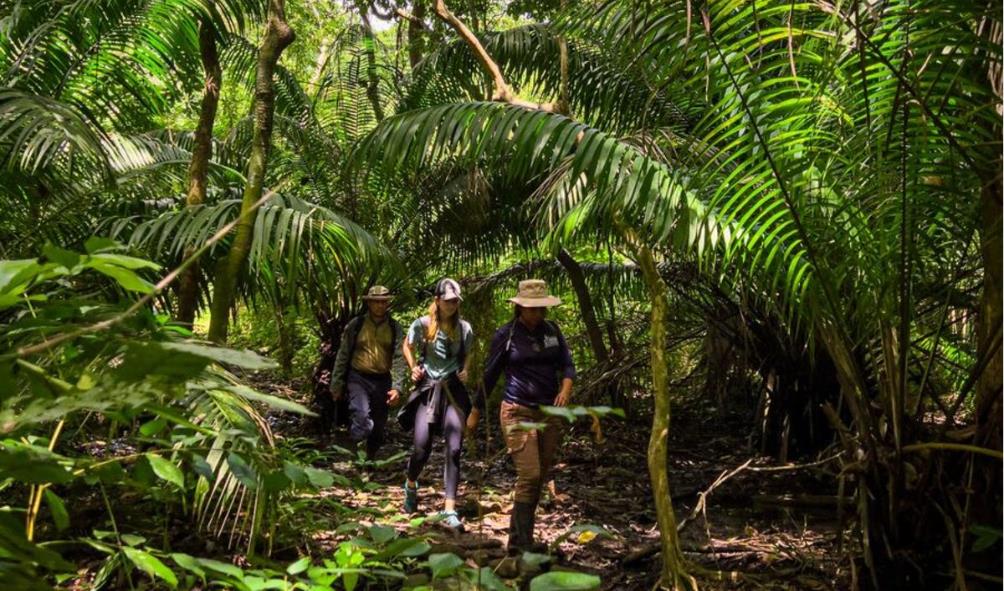 Taking It Easy in Panama 