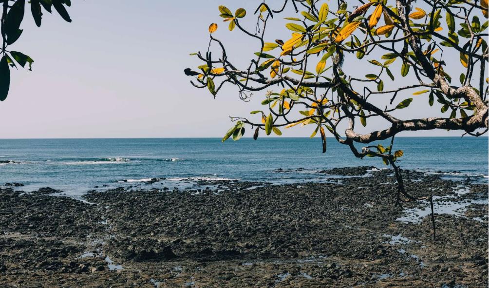 Relaxed travel in Panama 