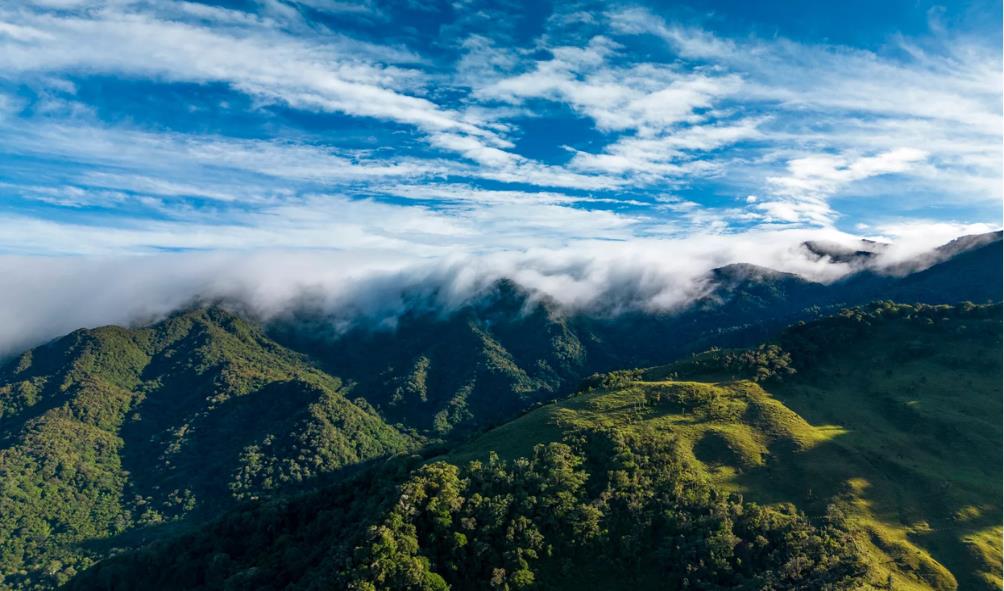 Panama market produce 