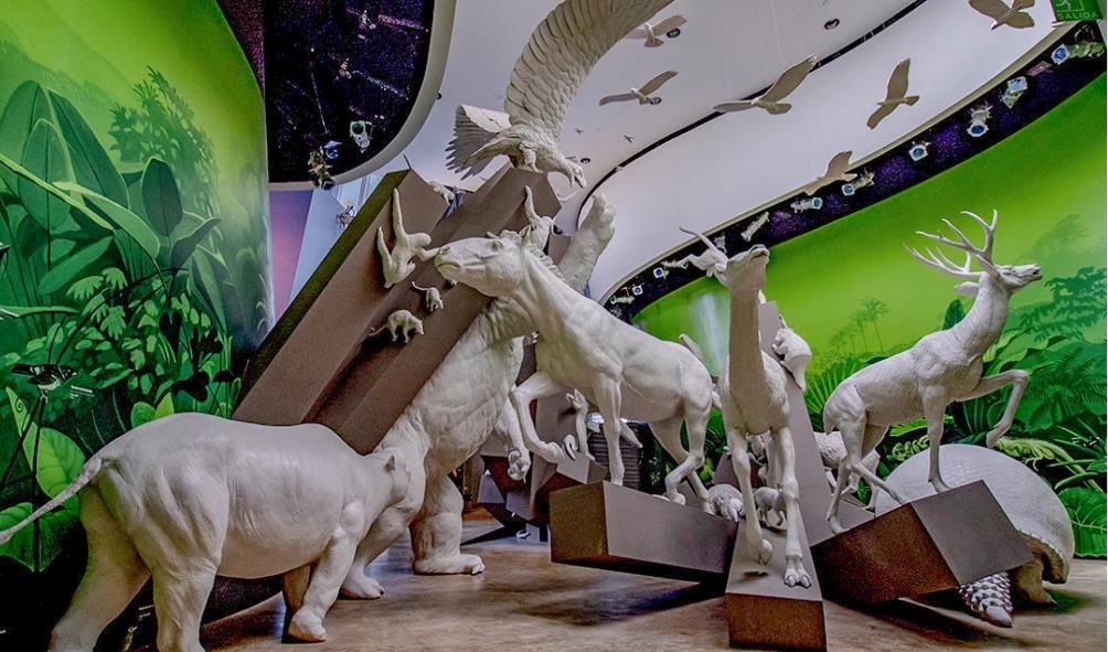 Panama vacation ideas 