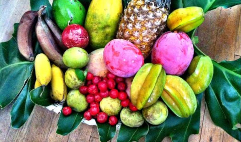 Panama seafood benefits 