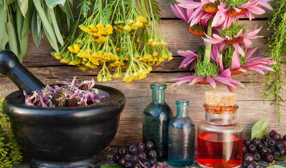 Panama ocean cuisine 