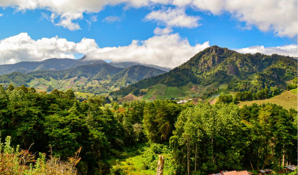 Panama lifestyle rejuvenation 