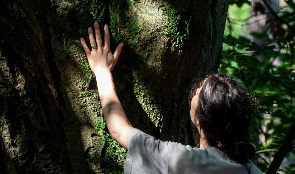 Panama''s energy renewal 