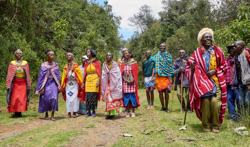 Panama wellness journey 