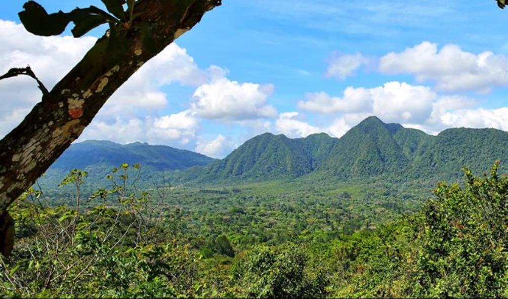 Panama holistic health 