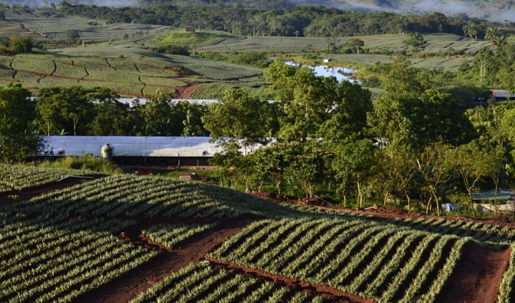 Panama holistic retreats 