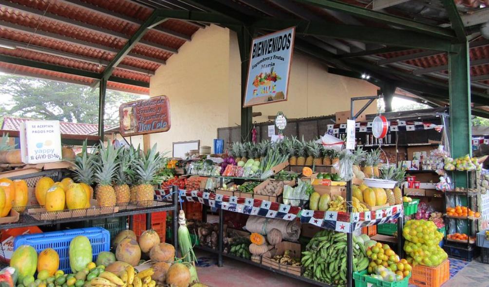 Panama organic cooking 