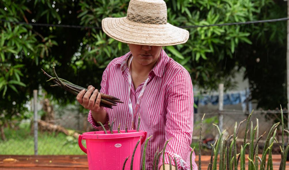 Panama health culture recipes 