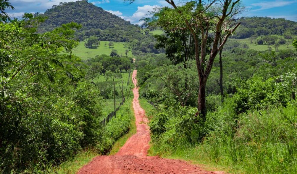 calm living in panama 