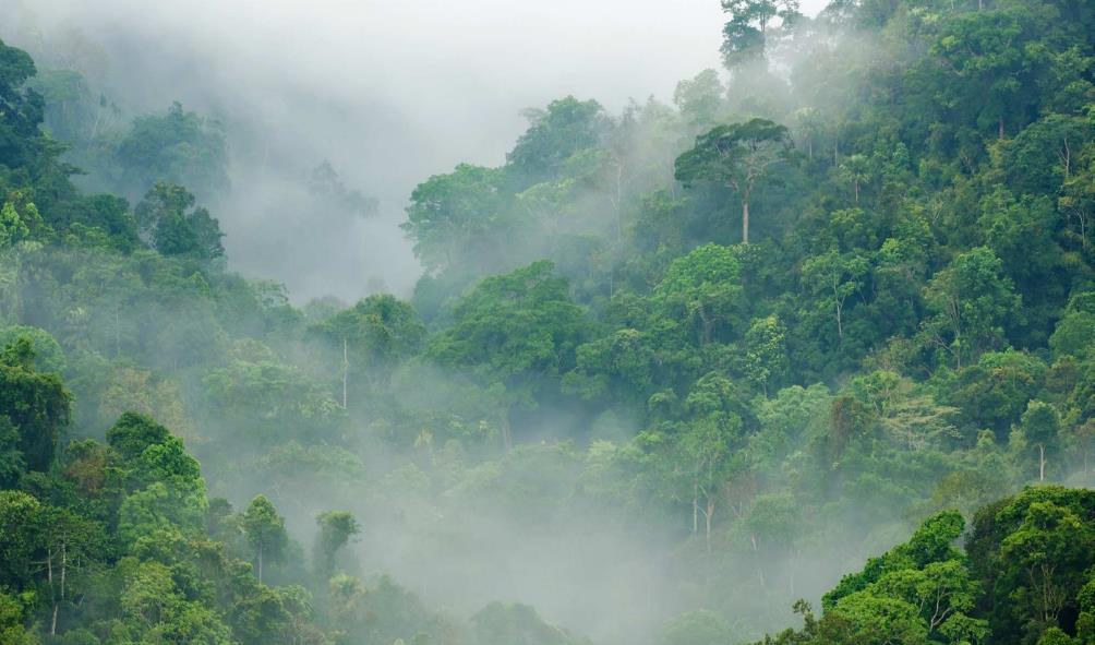 Calm by Design Panama 